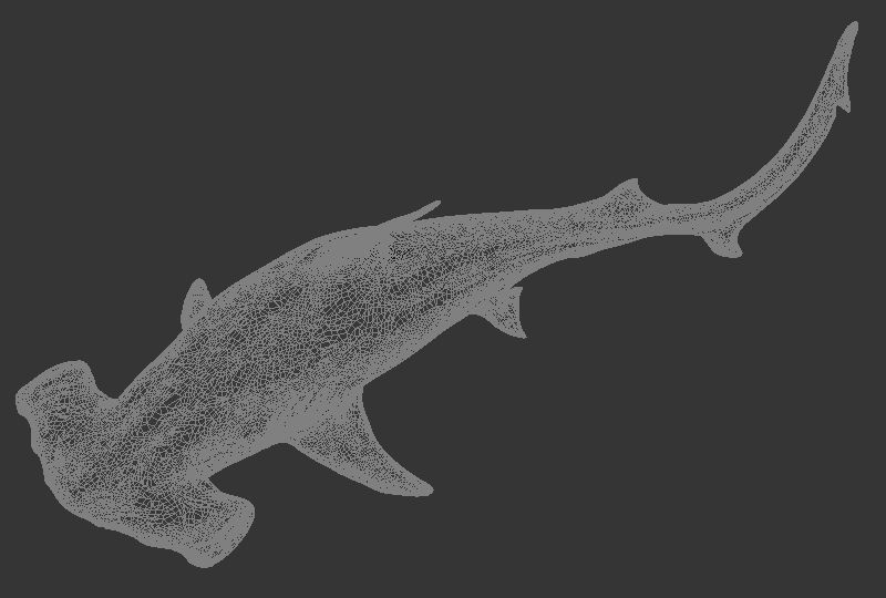 Hammer Shark Printable 3D print model_8
