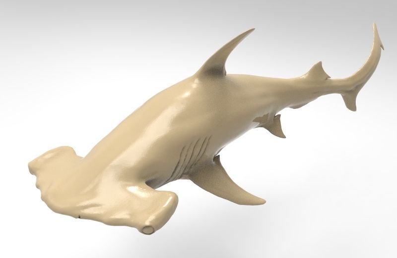 Hammer Shark Printable 3D print model_1