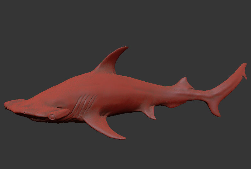 Hammer Shark Printable 3D print model_7