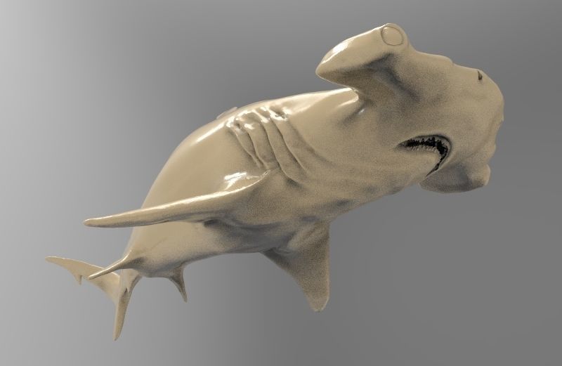 Hammer Shark Printable 3D print model_4