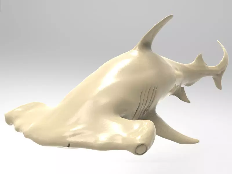 Hammer Shark Printable 3D print model_0