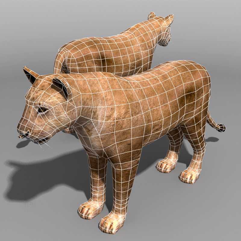 Lioness lion Low-poly 3D model_4