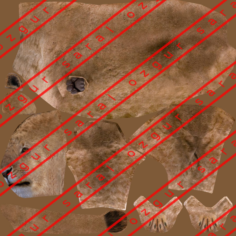 Lioness lion Low-poly 3D model_5