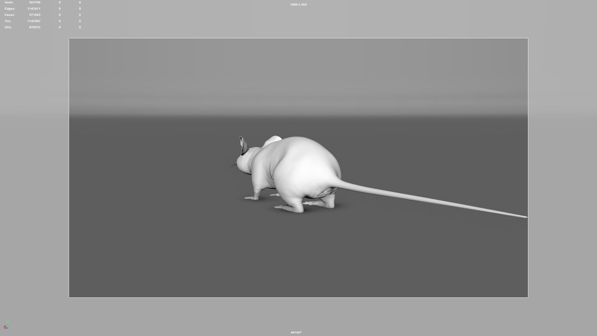 mouse rat  3D model_11