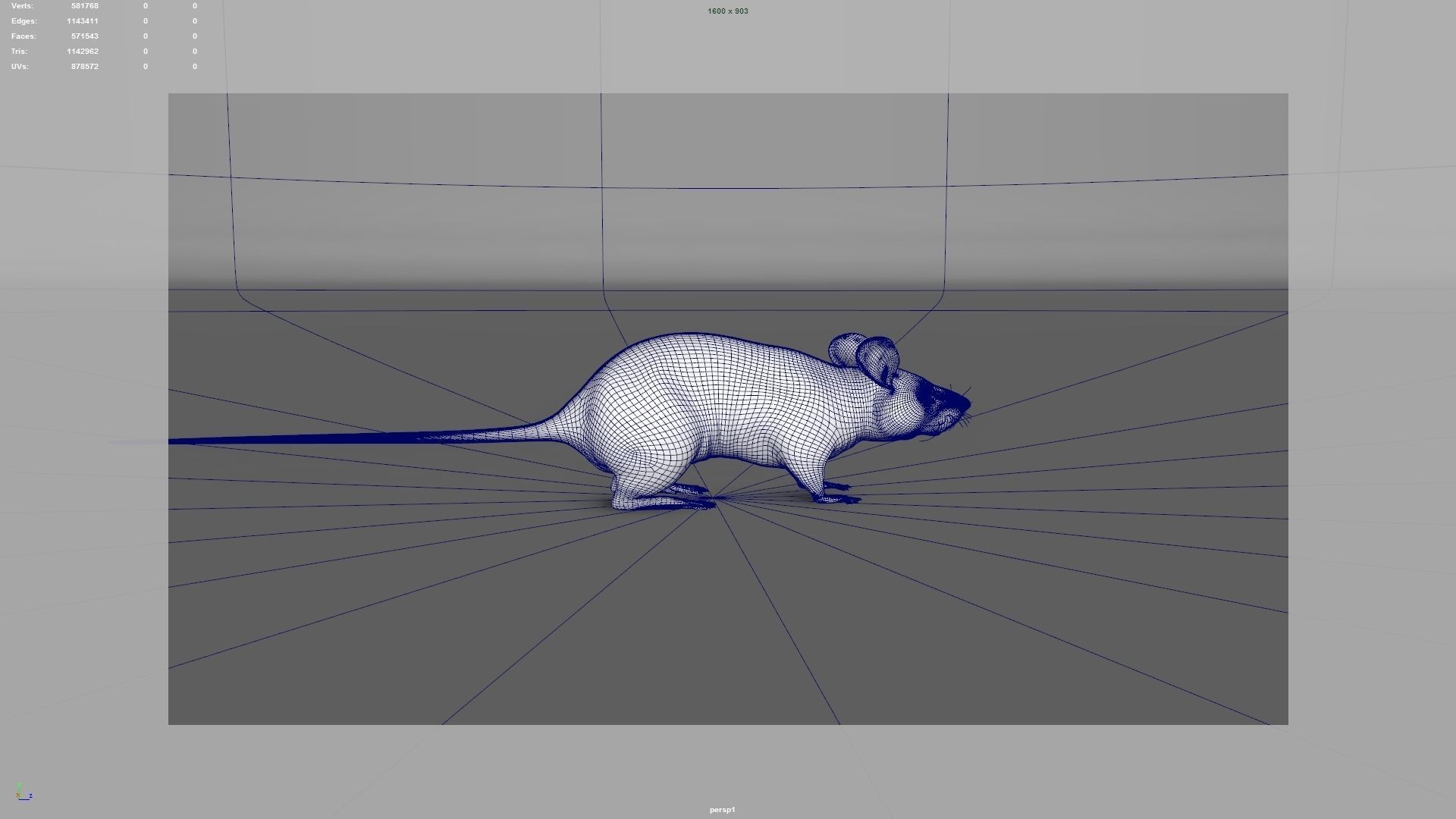 mouse rat  3D model_19