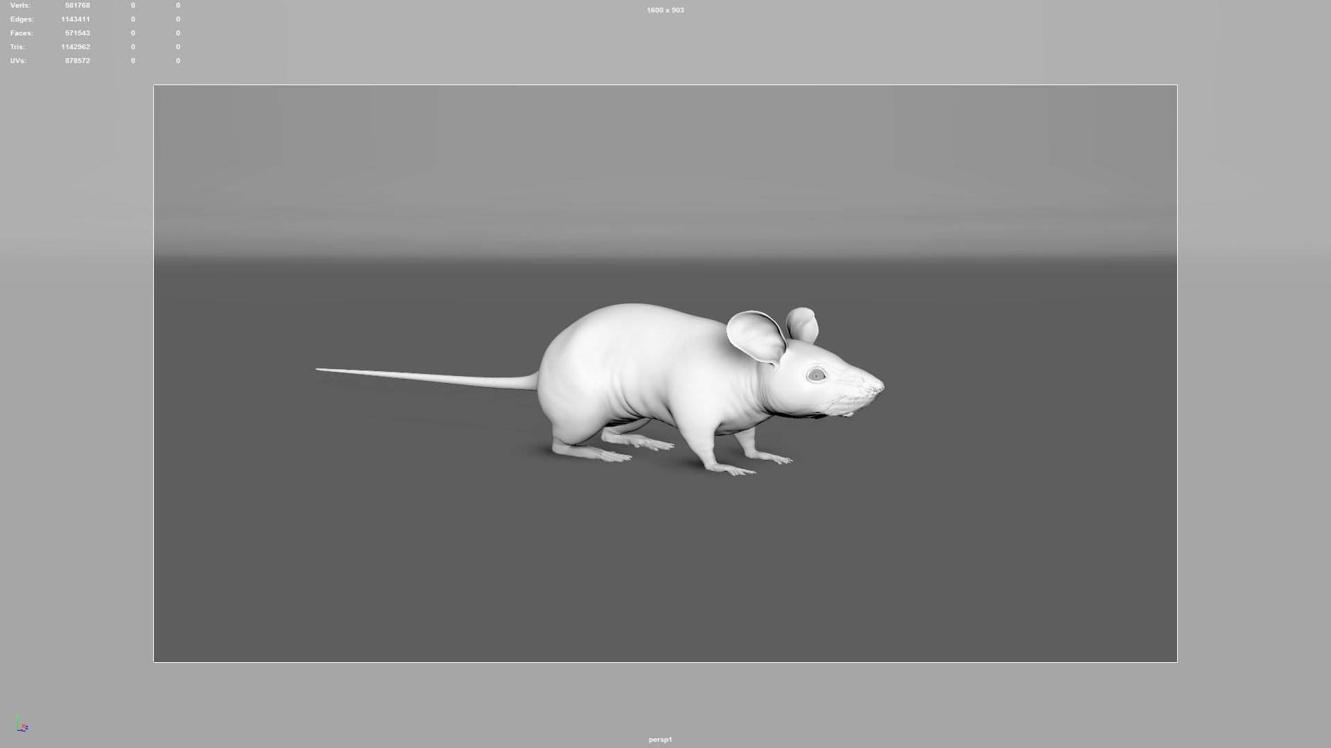 mouse rat  3D model_12