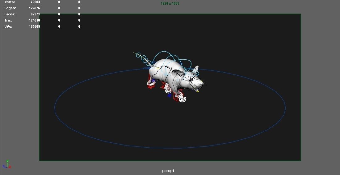 mouse rat  3D model_20