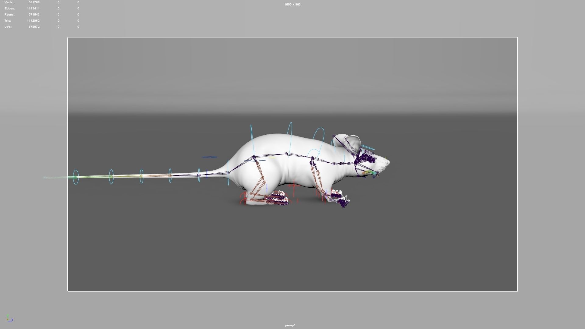 mouse rat  3D model_16