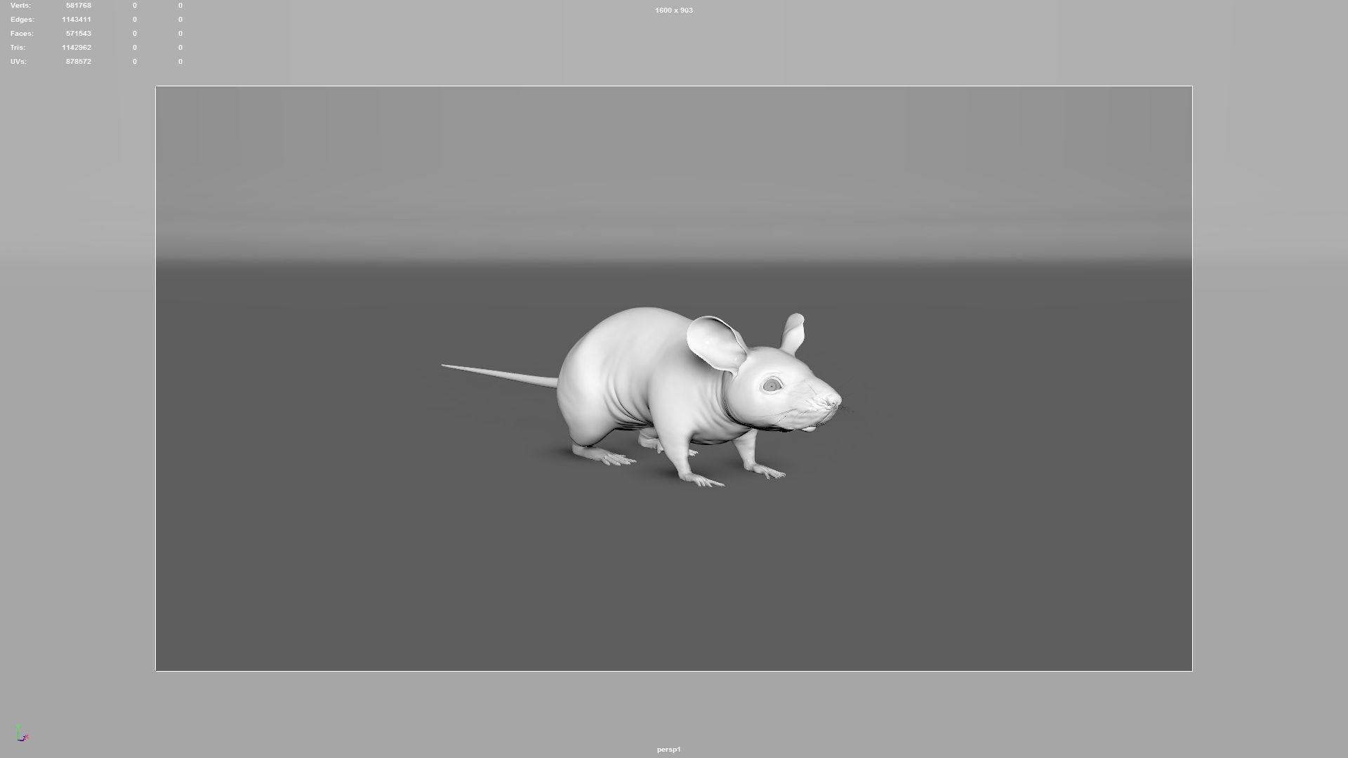 mouse rat  3D model_9