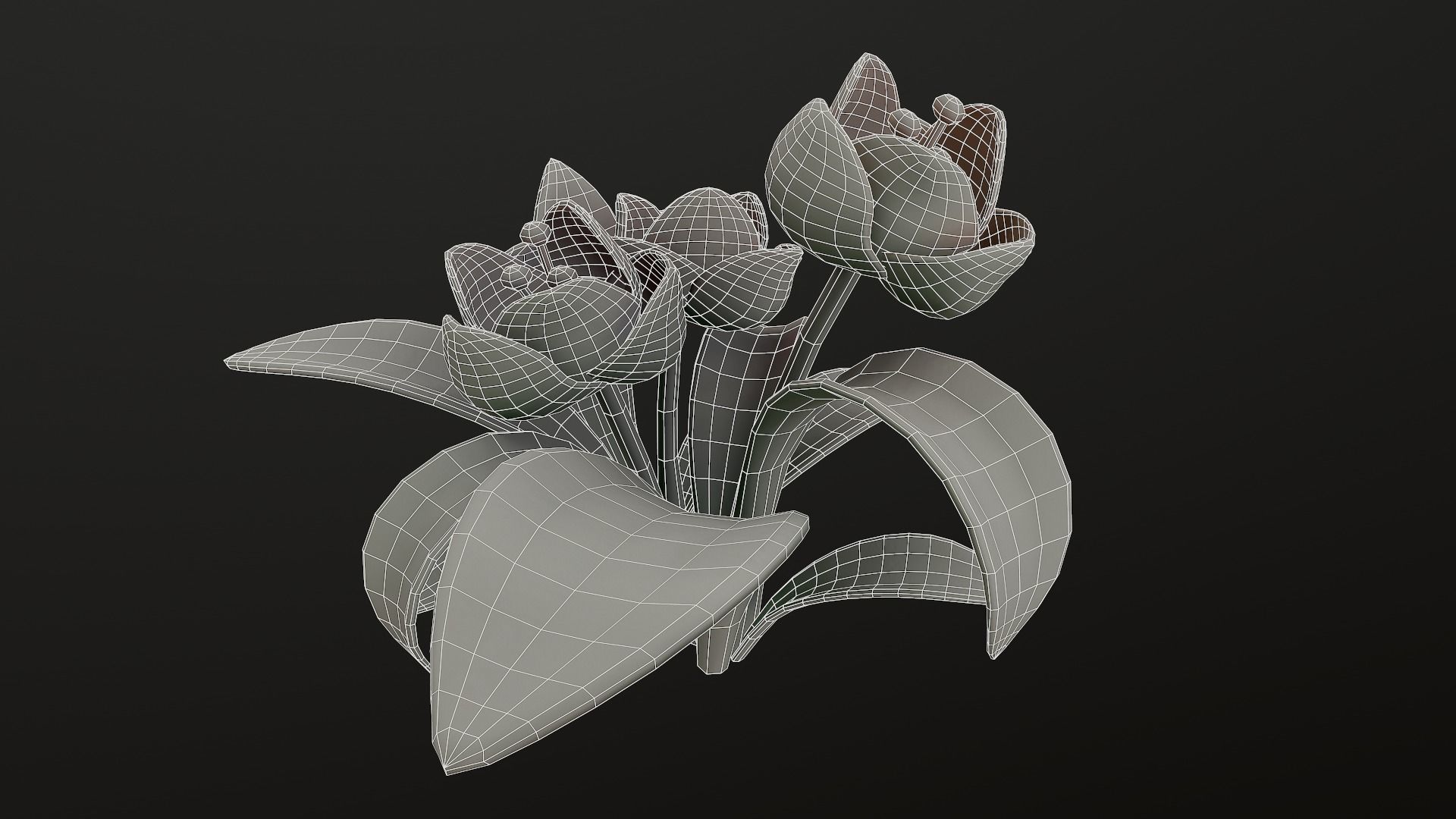 Asset - Cartoons - Flower 3D model_45