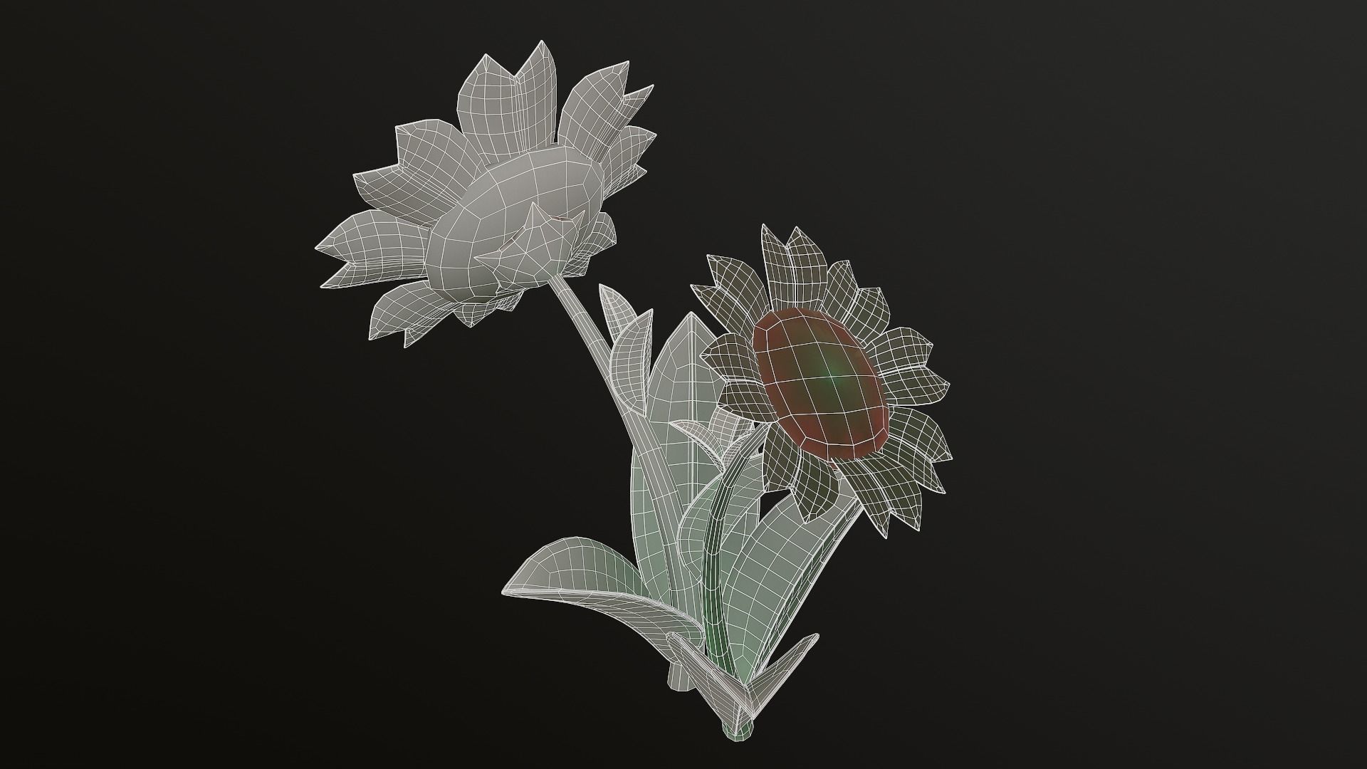 Asset - Cartoons - Flower 3D model_36