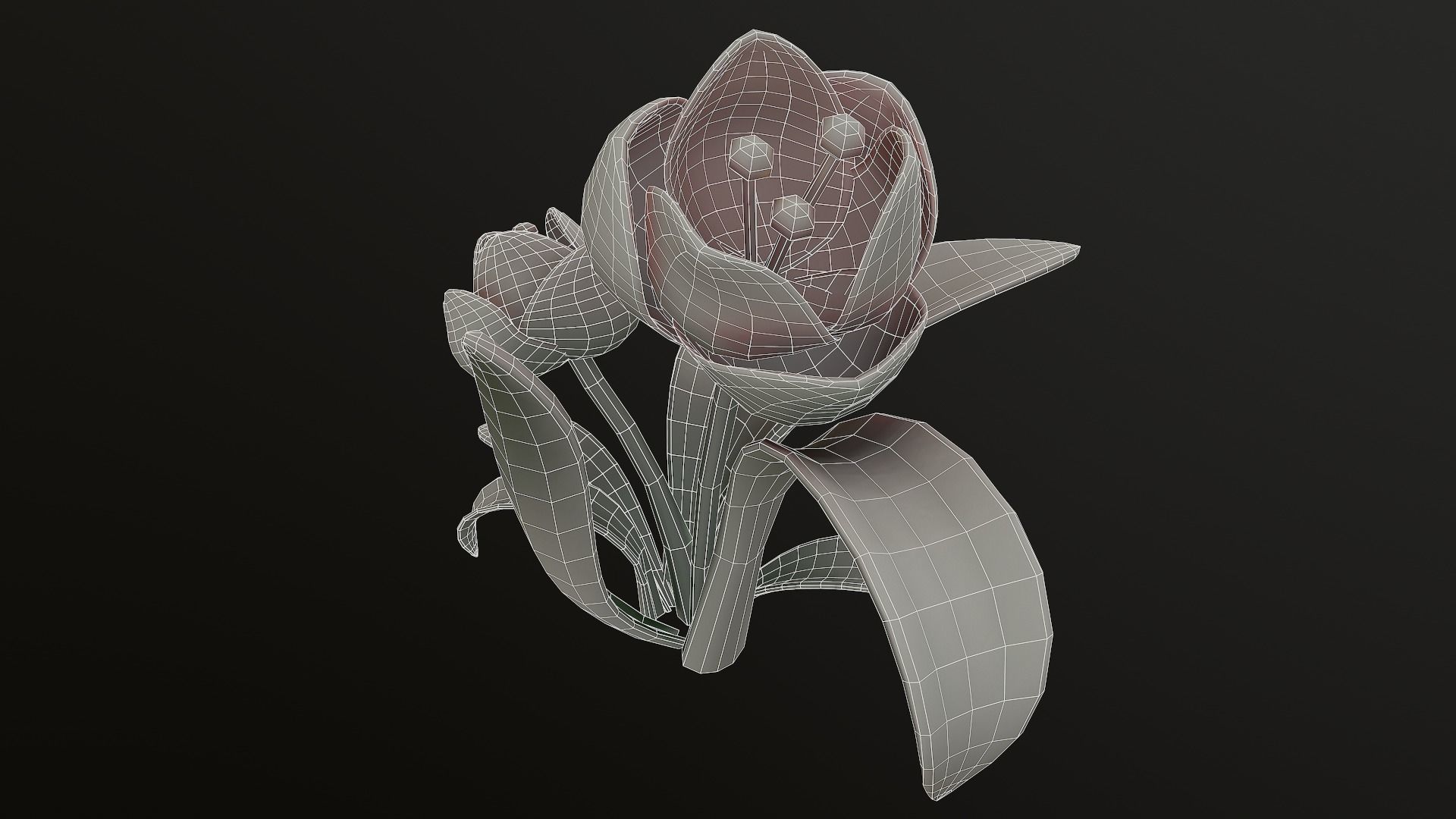 Asset - Cartoons - Flower 3D model_41