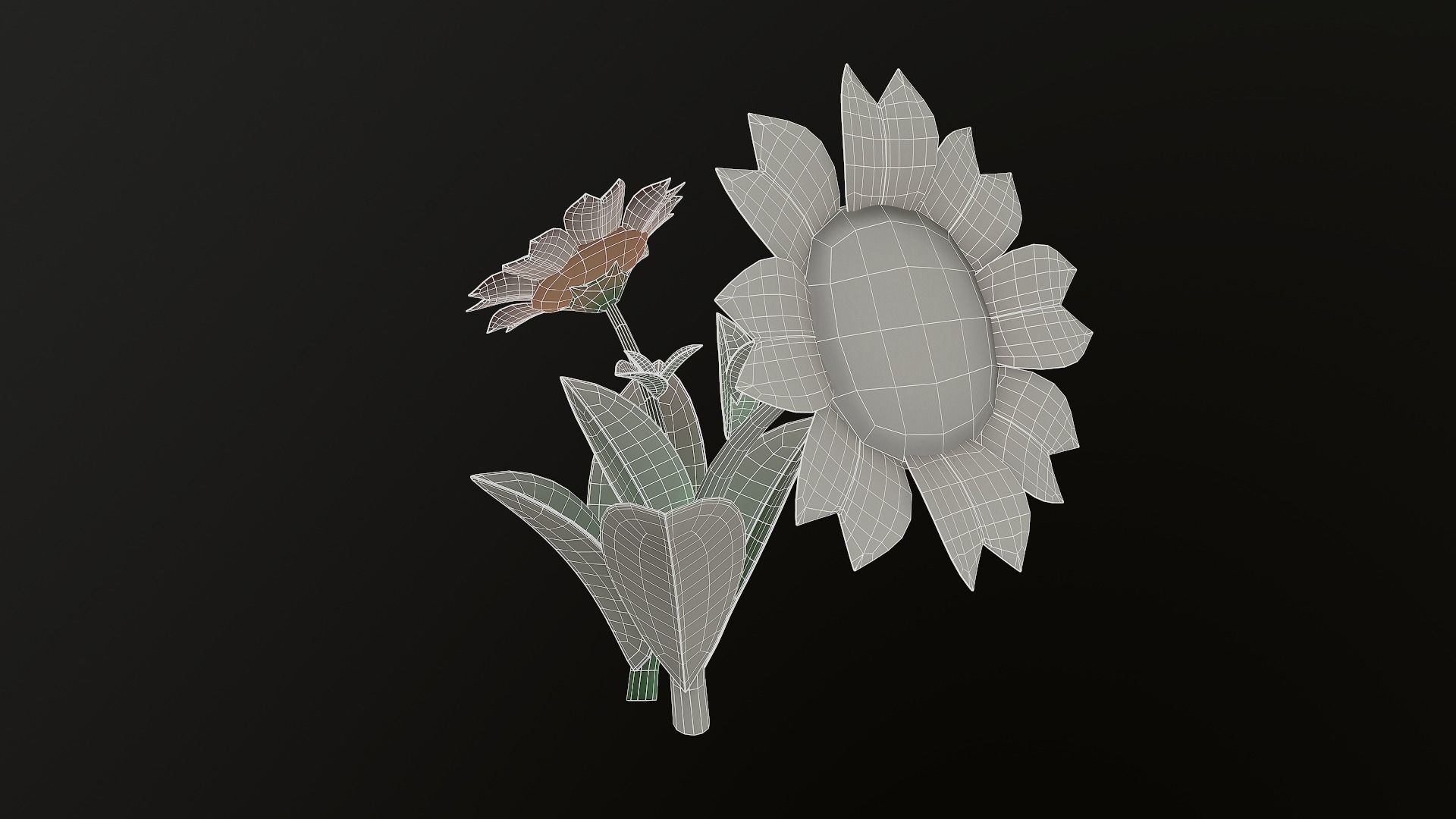 Asset - Cartoons - Flower 3D model_31