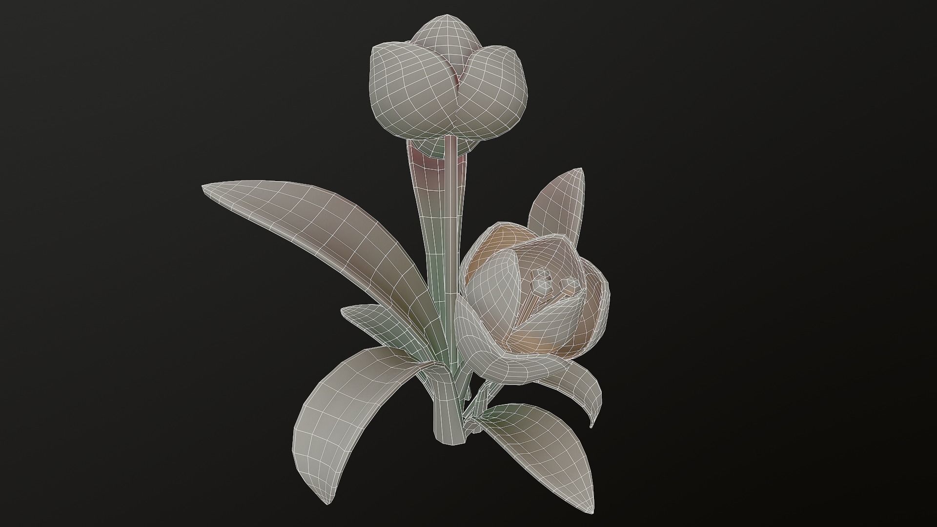 Asset - Cartoons - Flower 3D model_26