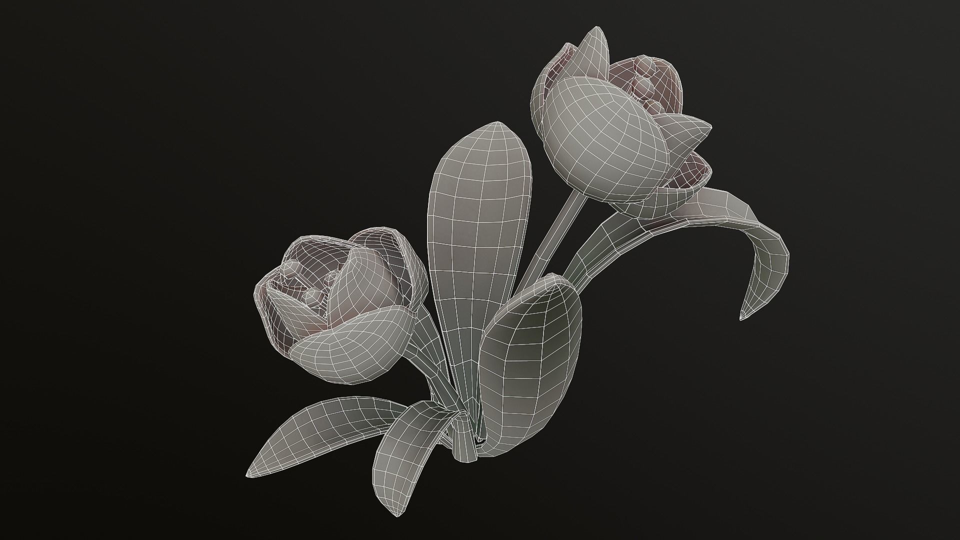 Asset - Cartoons - Flower 3D model_42