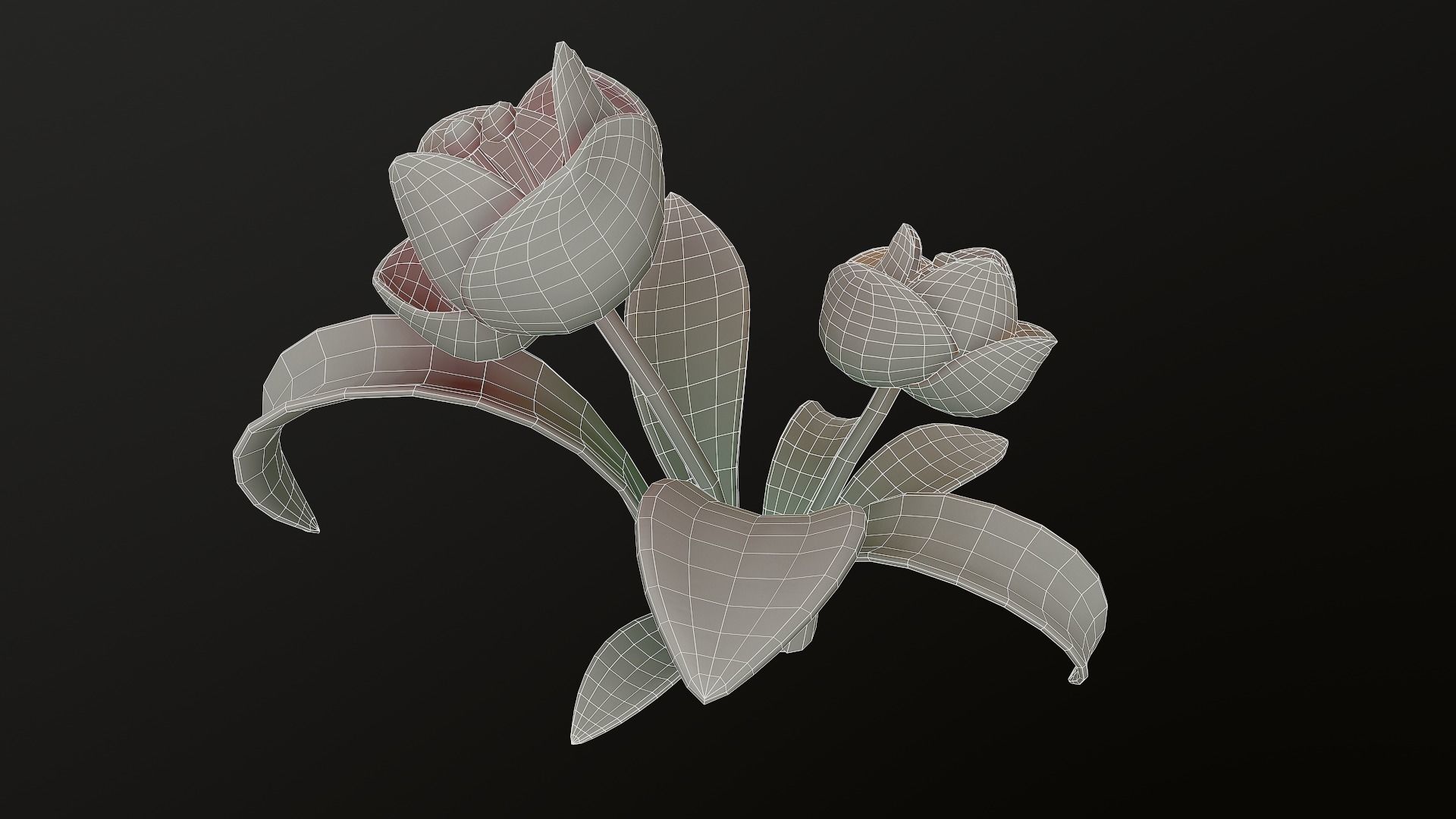 Asset - Cartoons - Flower 3D model_23