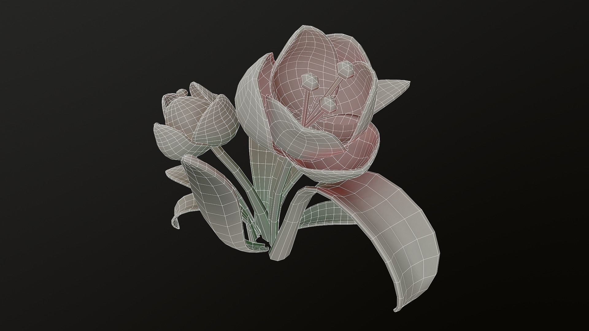 Asset - Cartoons - Flower 3D model_27