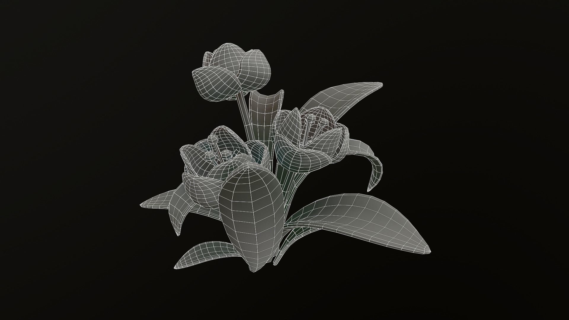 Asset - Cartoons - Flower 3D model_14