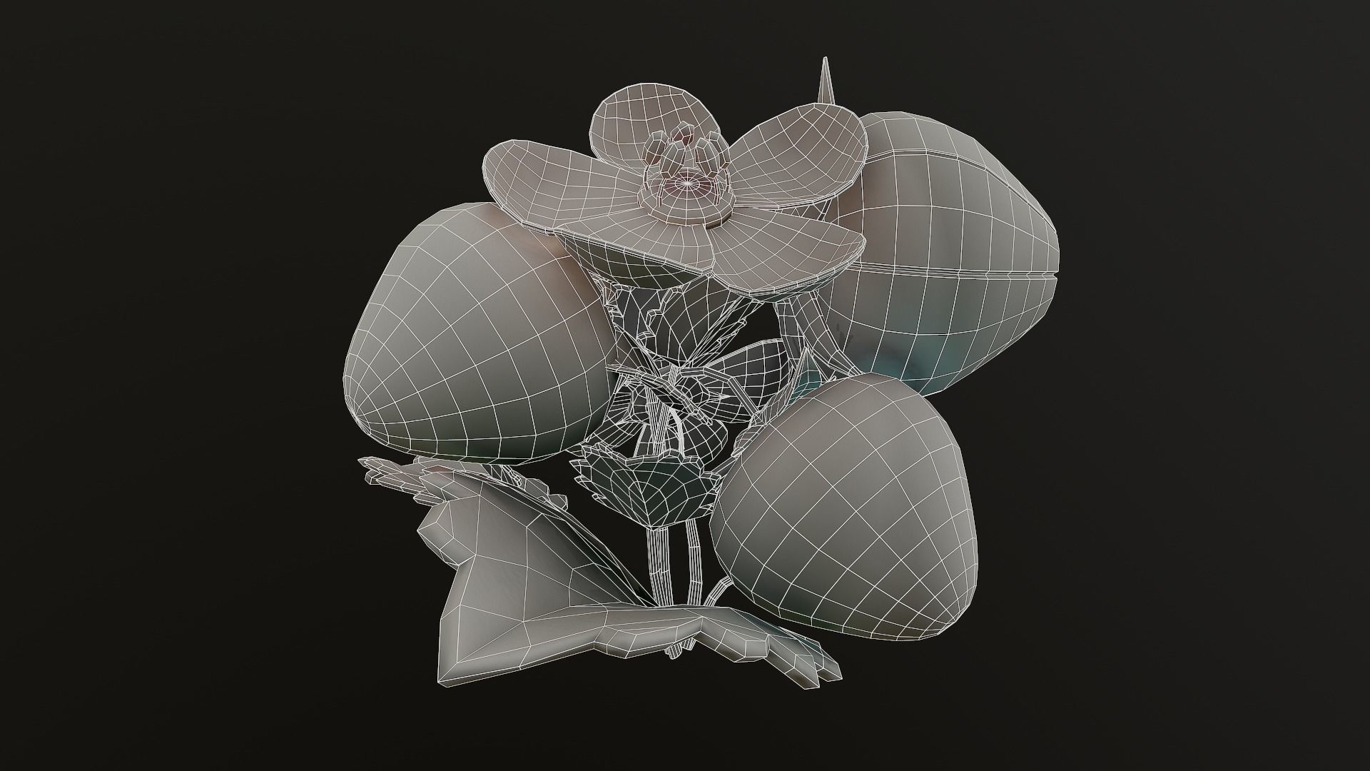 Asset - Cartoons - Flower 3D model_54