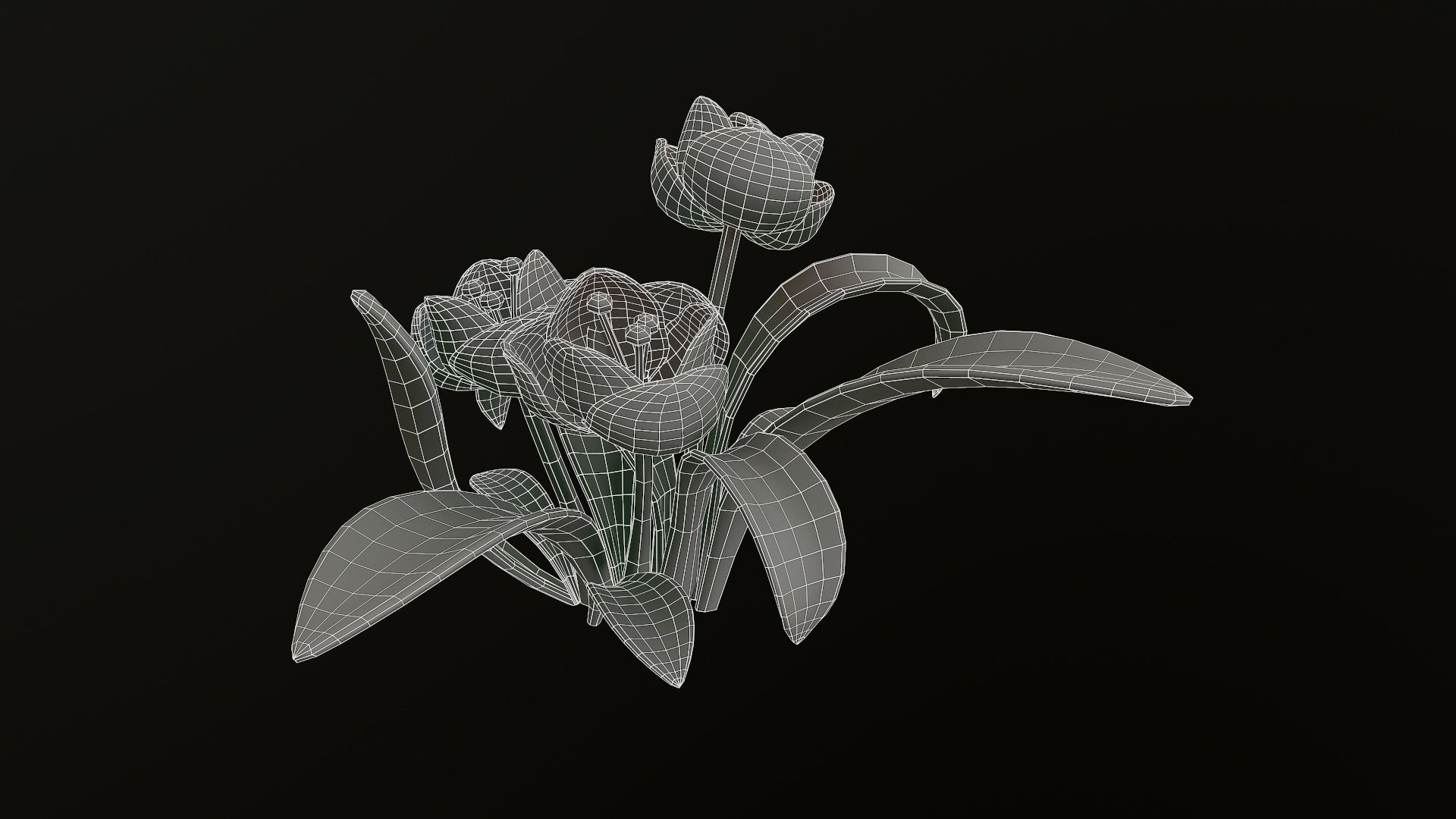 Asset - Cartoons - Flower 3D model_15