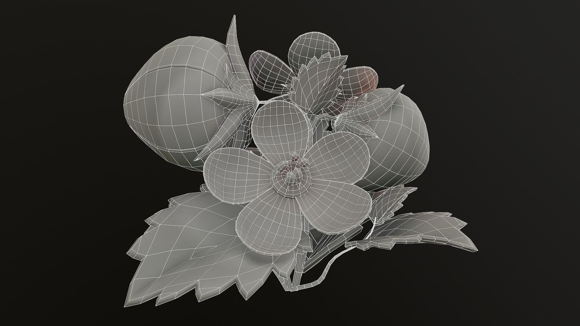 Asset - Cartoons - Flower 3D model_51