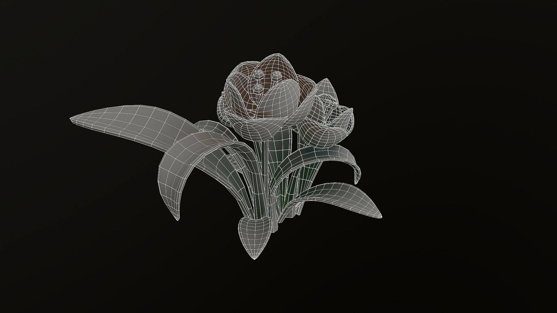 Asset - Cartoons - Flower 3D model_13