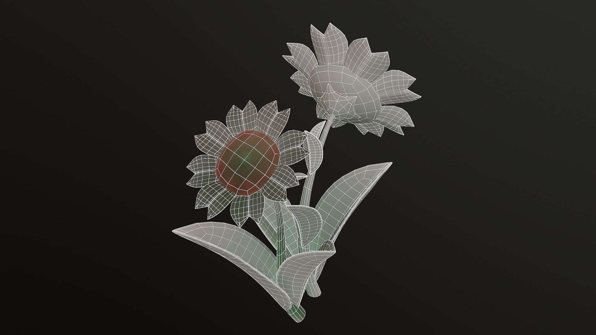 Asset - Cartoons - Flower 3D model_35