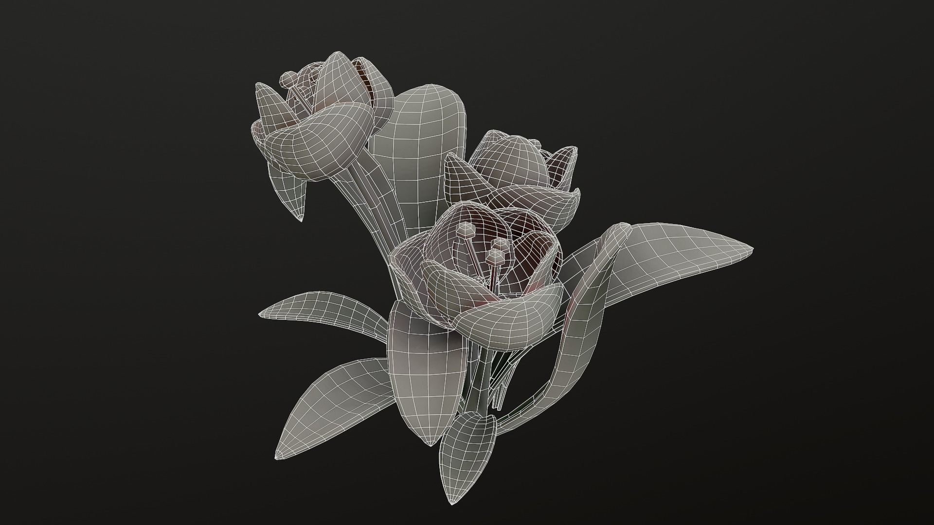 Asset - Cartoons - Flower 3D model_44