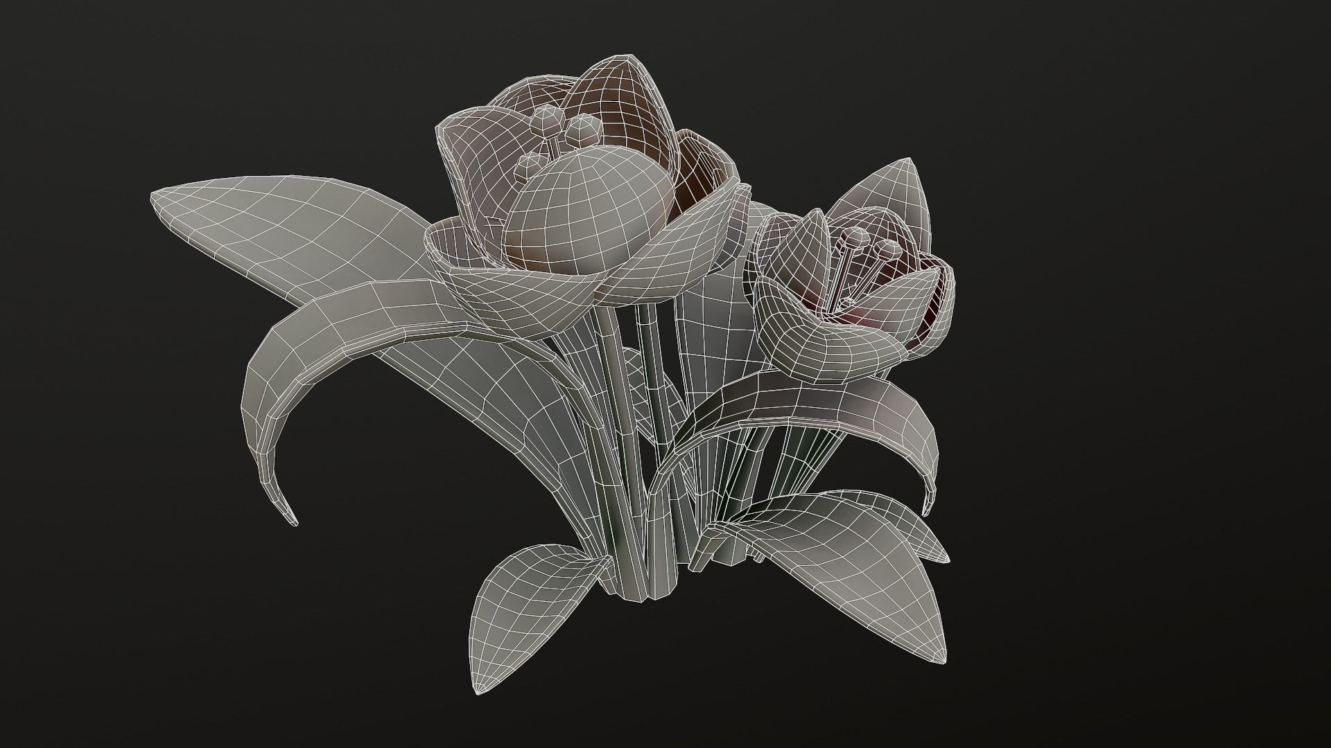 Asset - Cartoons - Flower 3D model_47