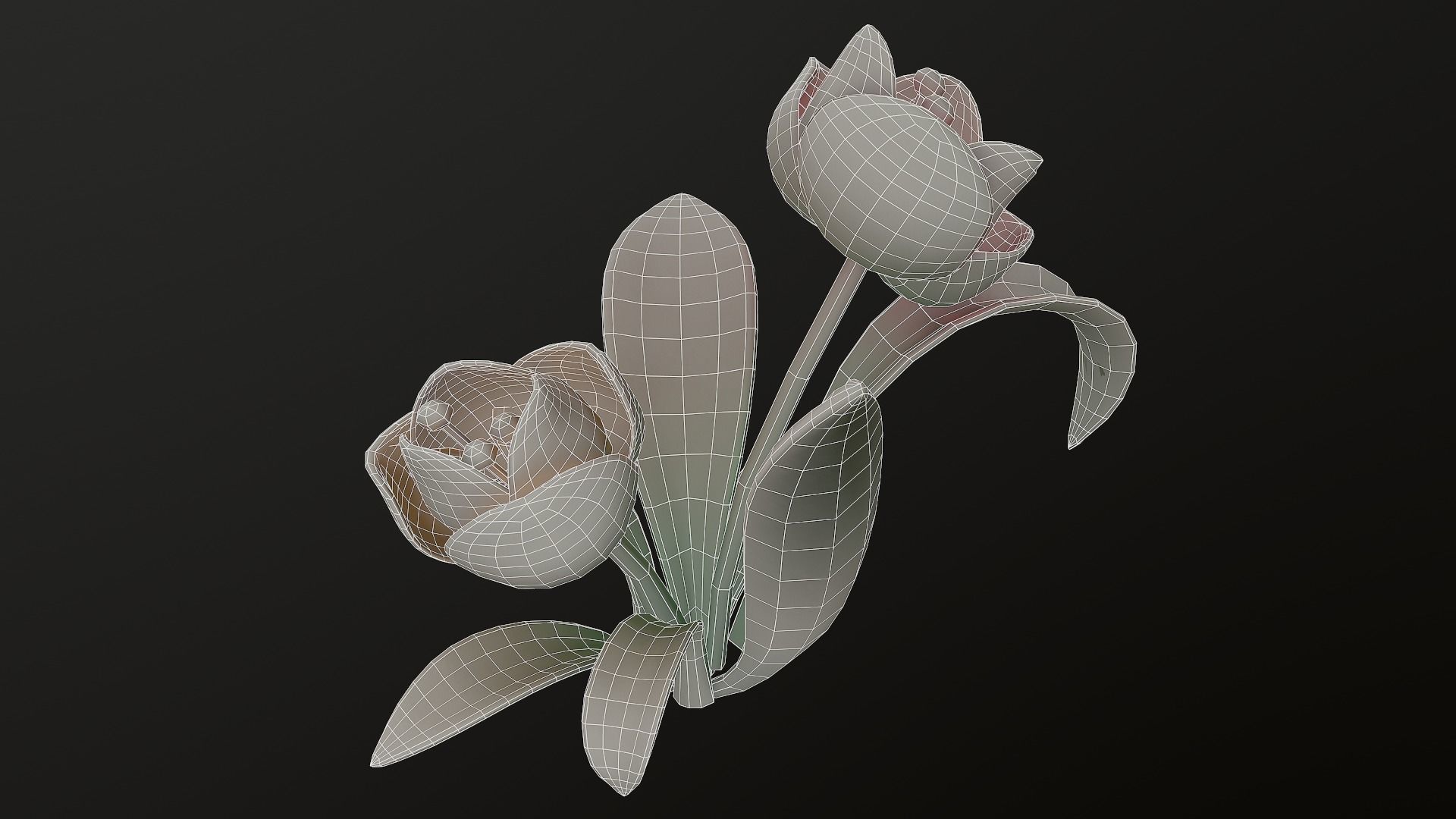 Asset - Cartoons - Flower 3D model_28