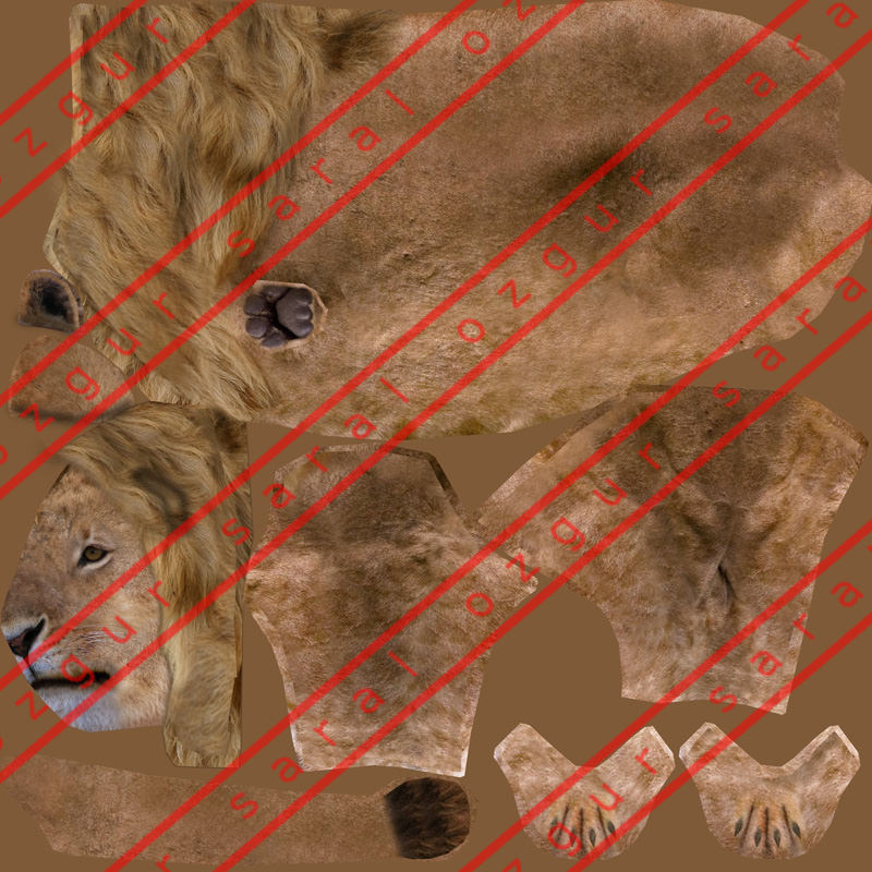 Lowpoly Lion Low-poly 3D model_3