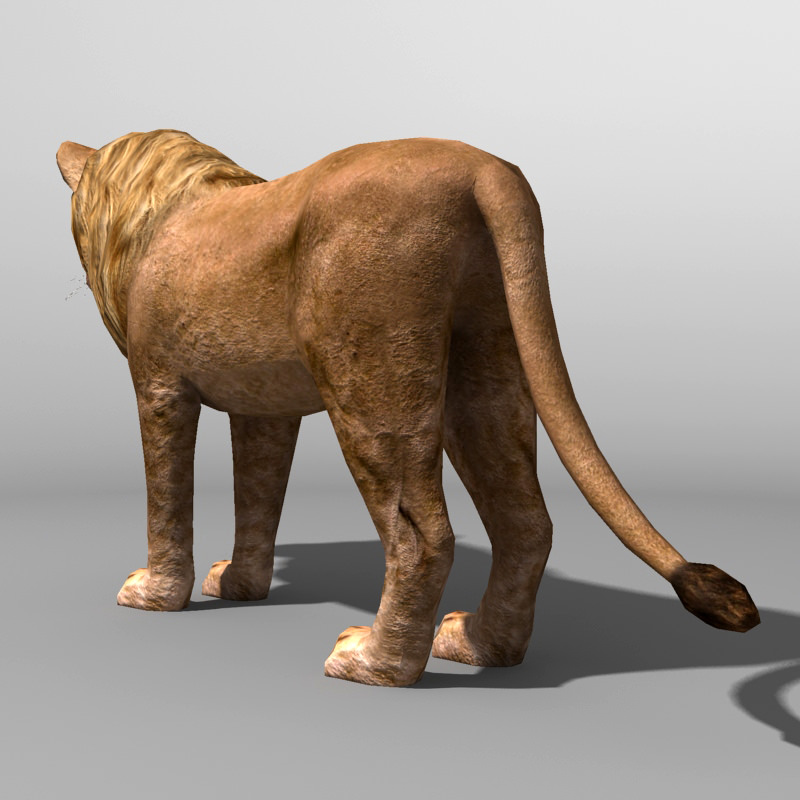 Lowpoly Lion Low-poly 3D model_2