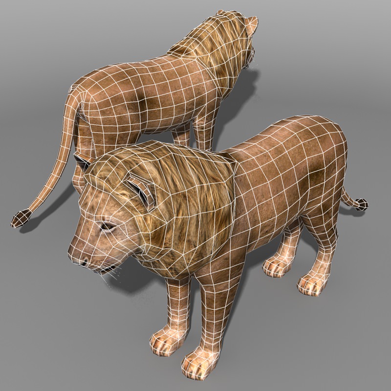 Lowpoly Lion Low-poly 3D model_4