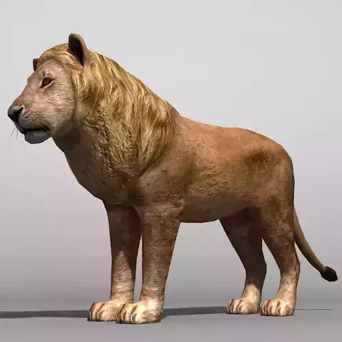 Lowpoly Lion