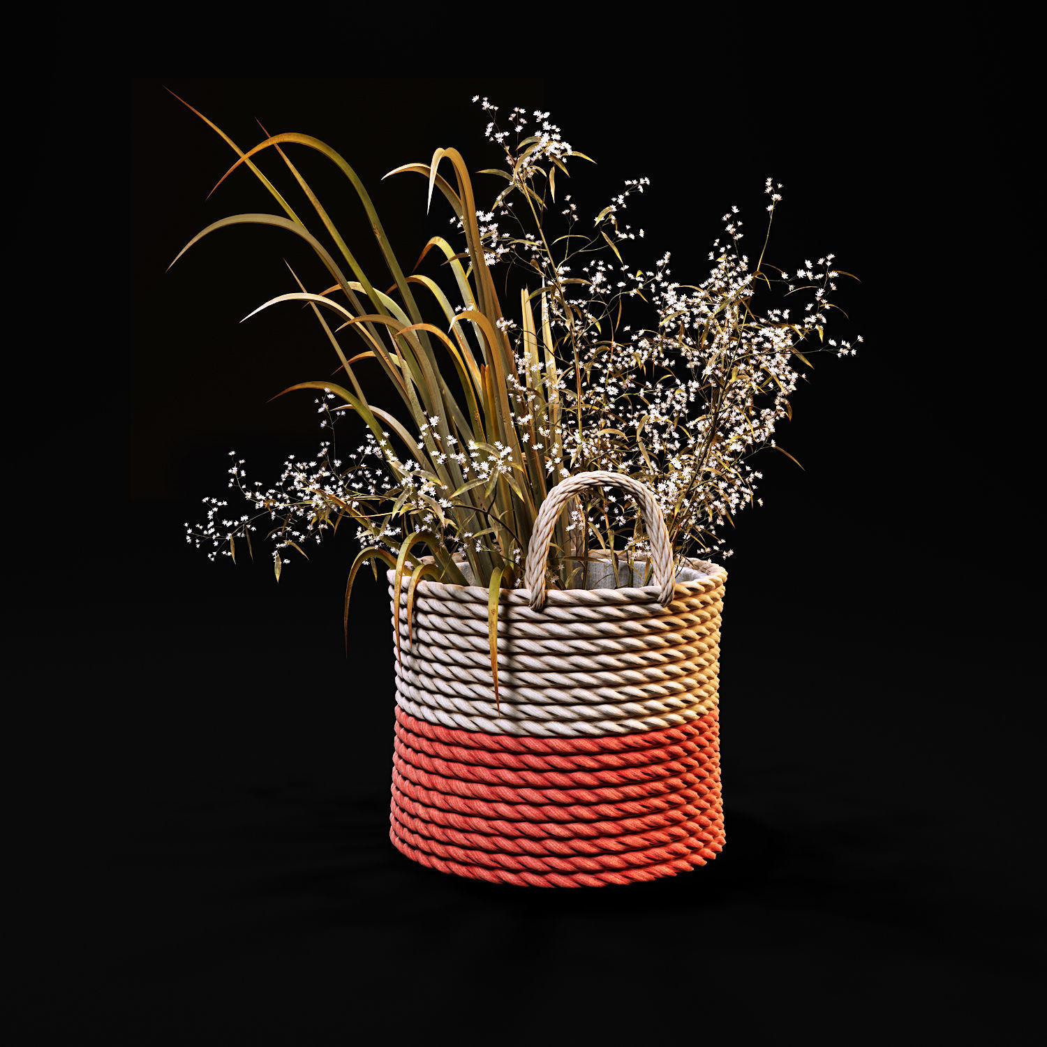 Field plants set 3D model_3