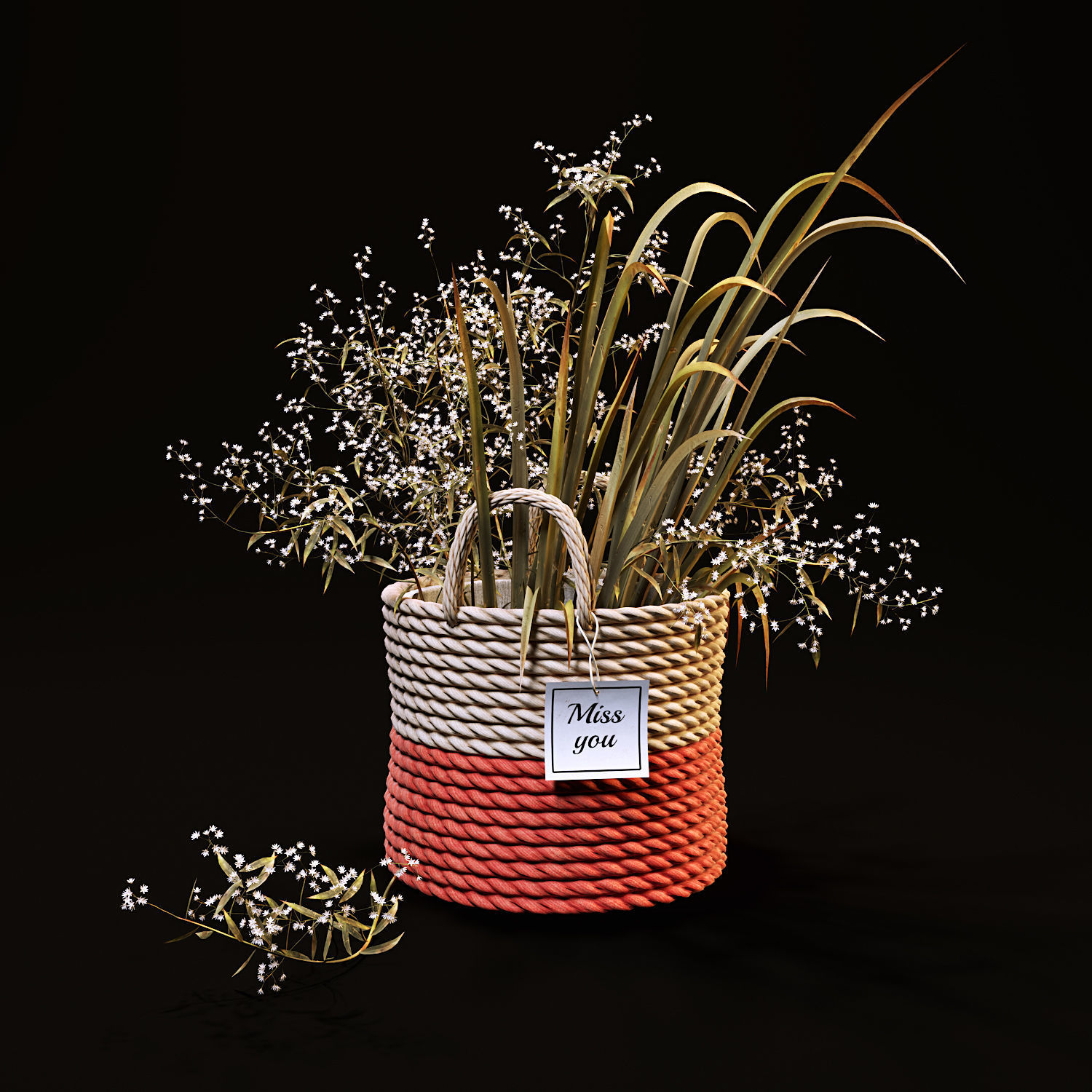 Field plants set 3D model_2