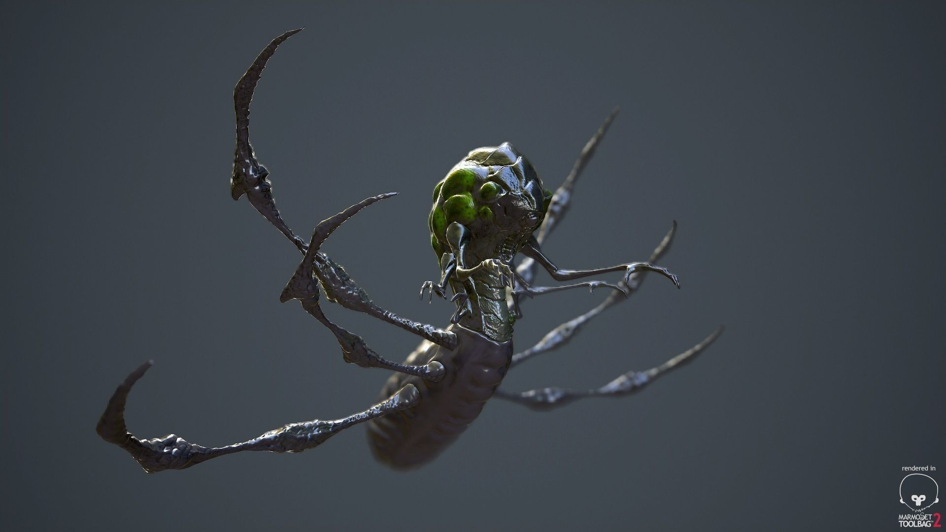 Abathur spider Low-poly 3D model_3