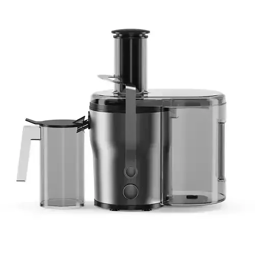 Electric Juicer