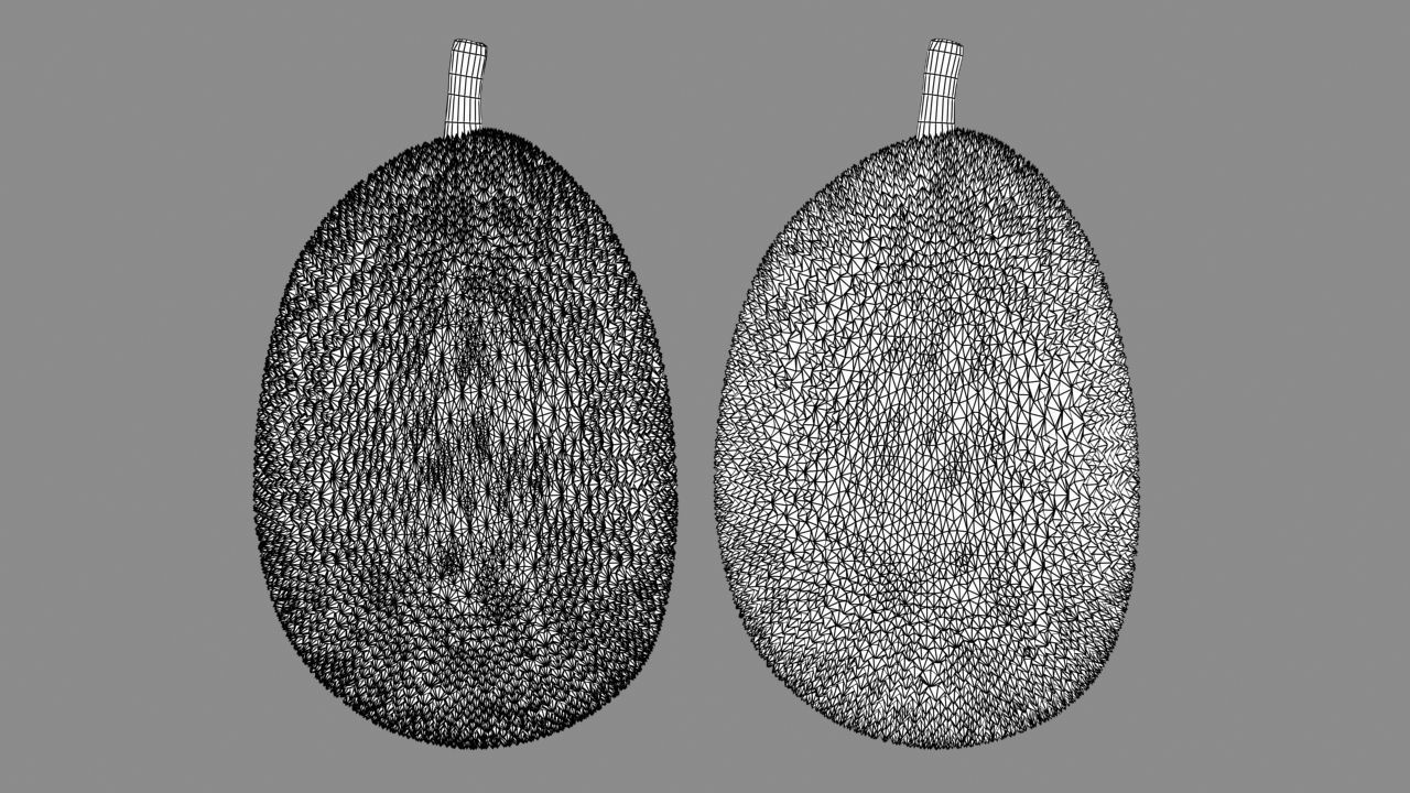 Jackfruit 3D model_2