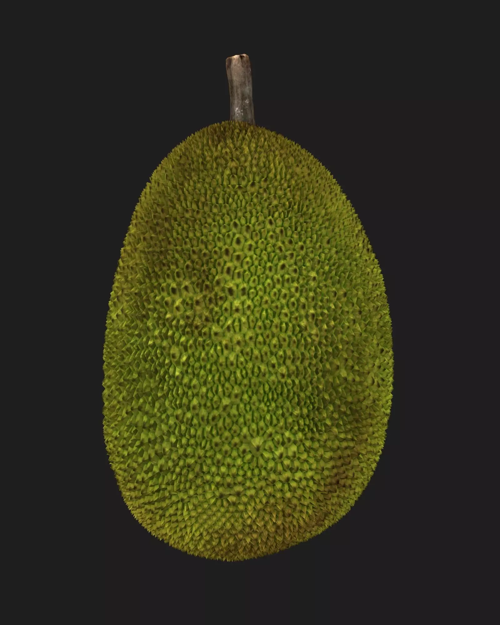Jackfruit 3D model_0