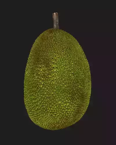 Jackfruit