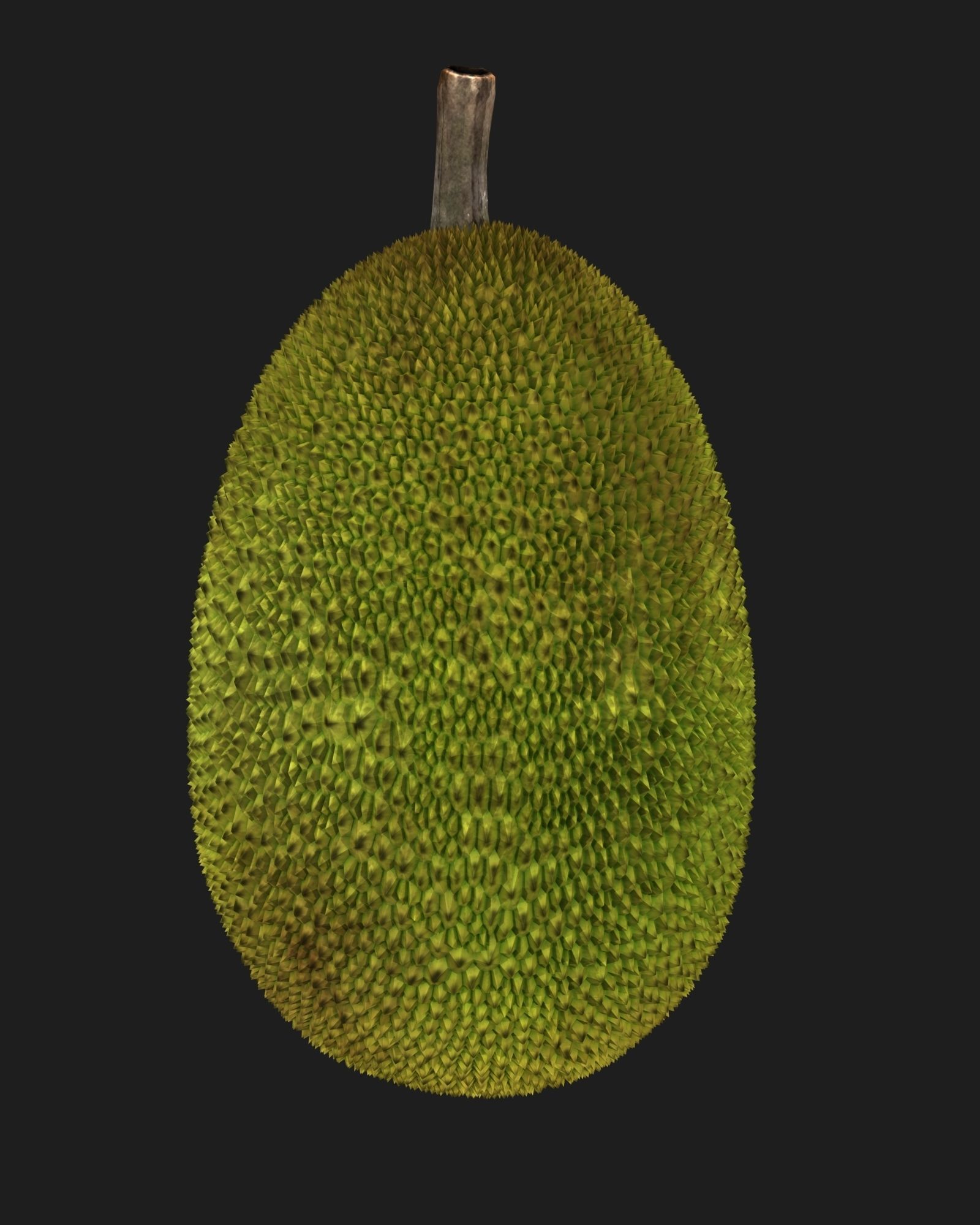 Jackfruit 3D model_1