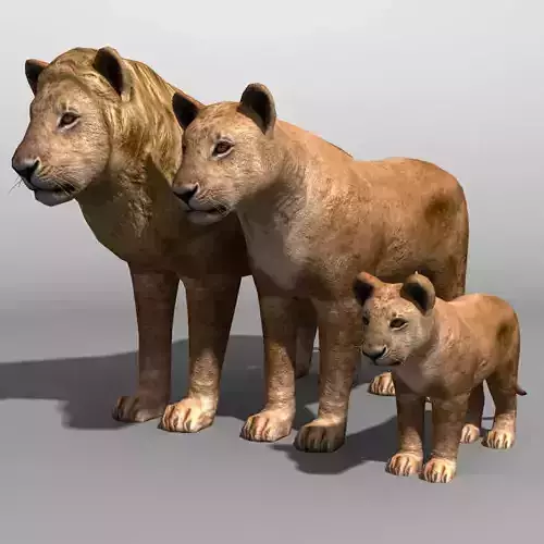 Lion Family 19838