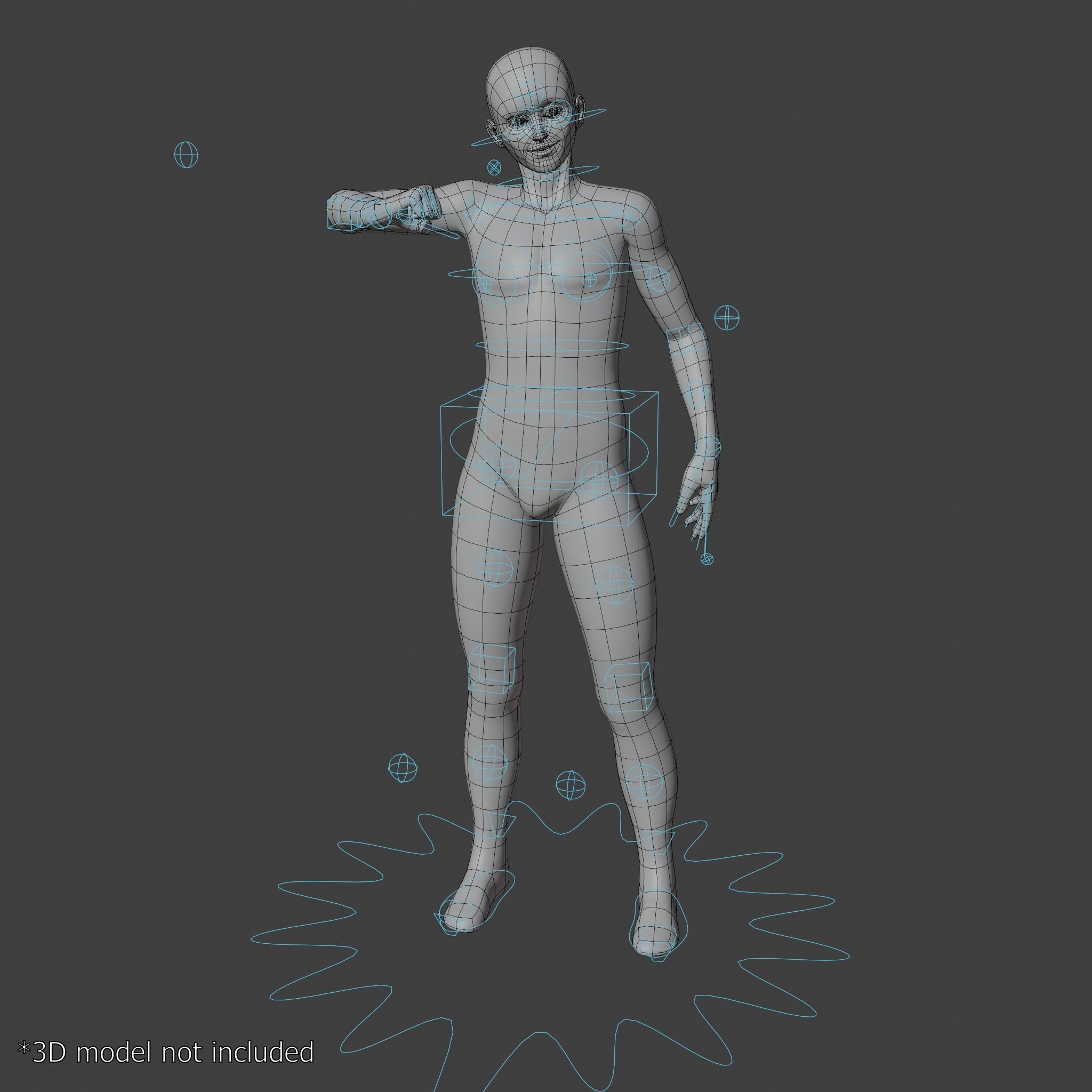 Humanoid Character Rig for Blender Free 3D model_6