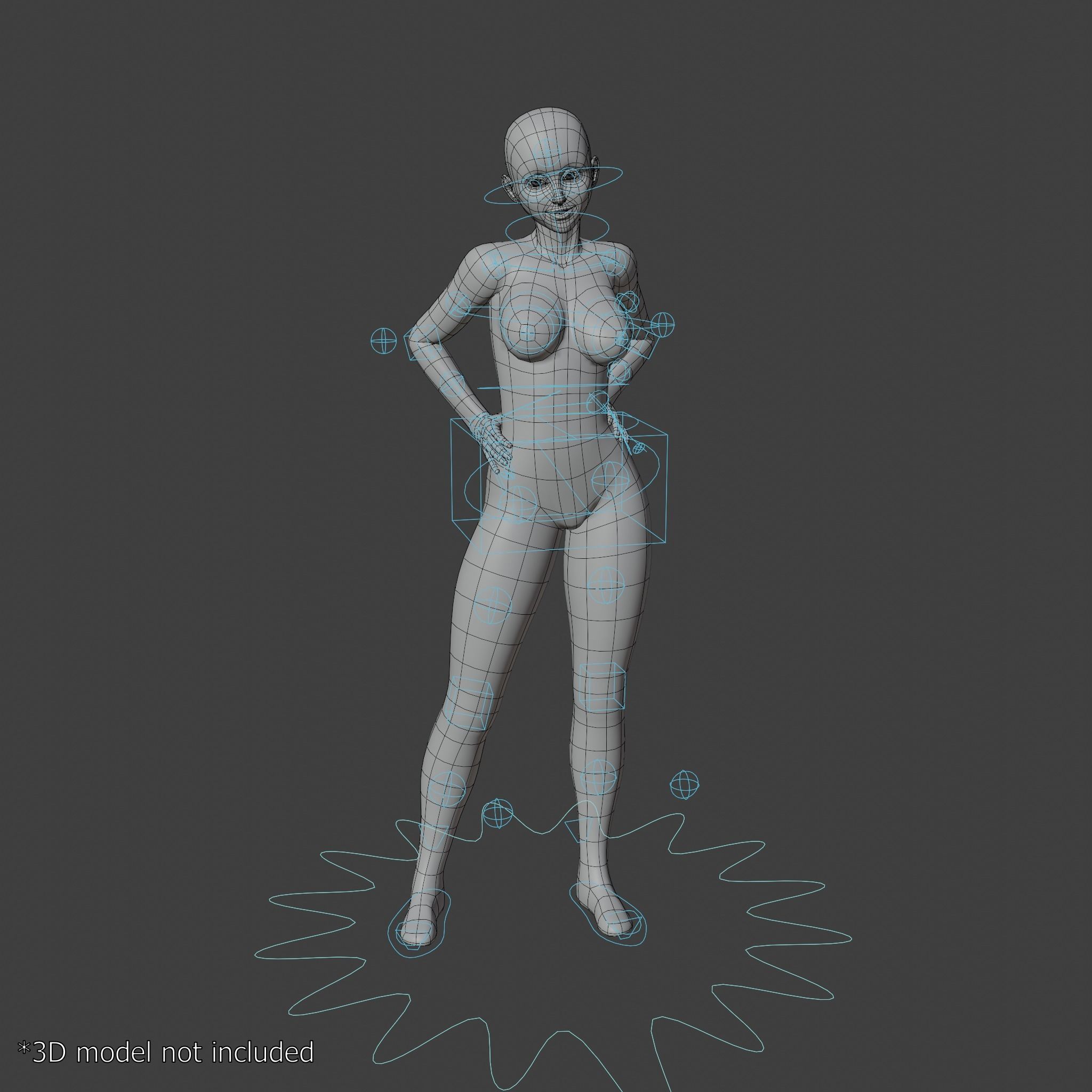 Humanoid Character Rig for Blender Free 3D model_7