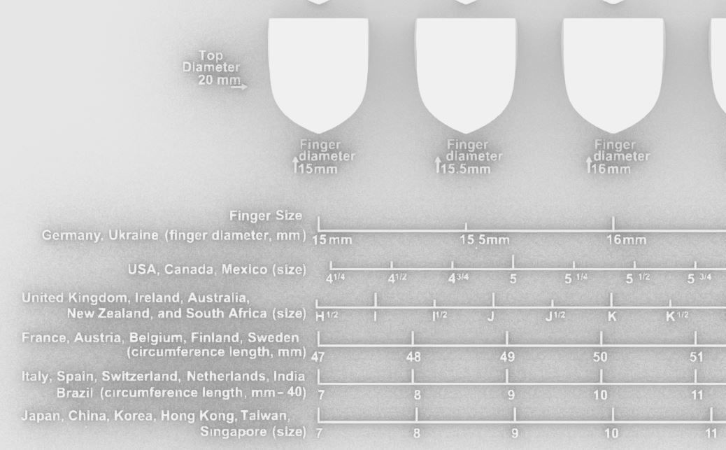 Signet rings set HERALDIC SHIELD top 3D print model_2