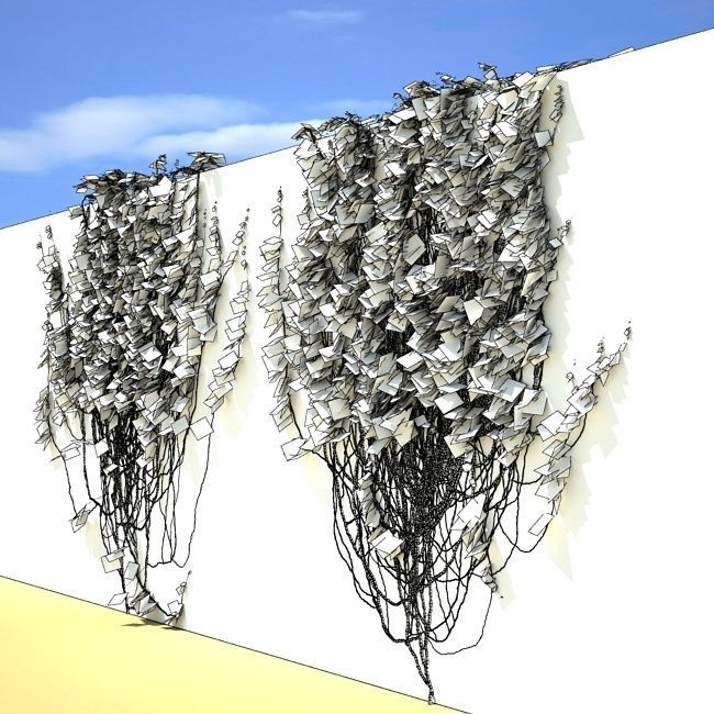 Ivy on the wall 05 3D model_4
