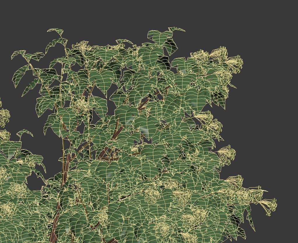 Physocarpus Opulifolius Nr1 Five sizes H80-260 cm 3D model_9