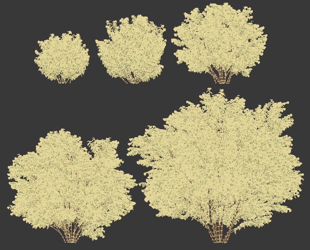 Physocarpus Opulifolius Nr1 Five sizes H80-260 cm 3D model_8