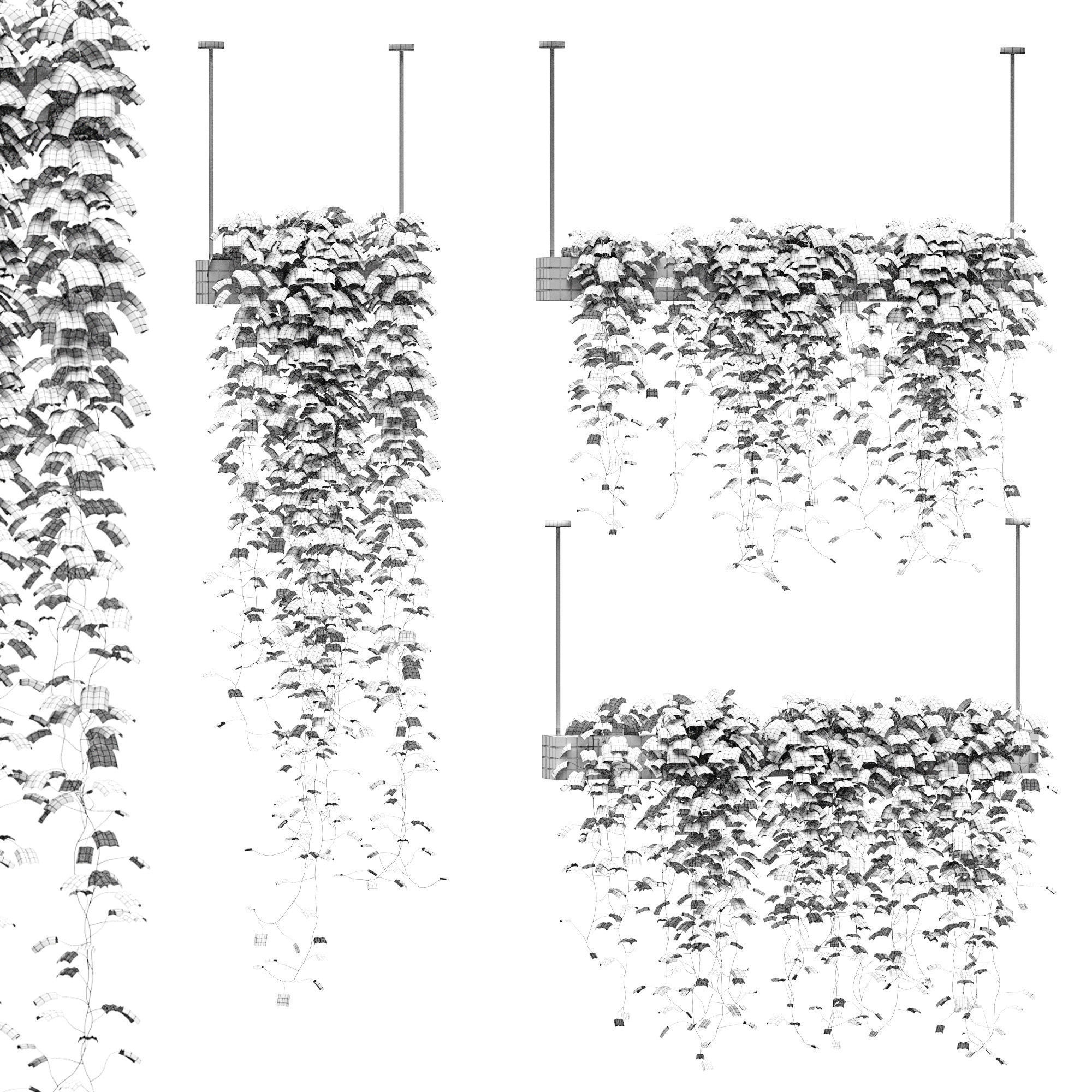 Ivy in hanging pots - 3 models 3D model_1